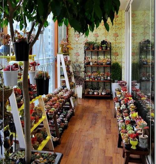 陽臺花園設計 陽臺花園設計